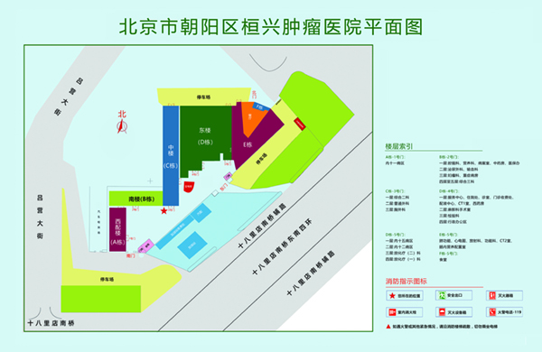 大鸡巴搓逼网站北京市朝阳区桓兴肿瘤医院平面图